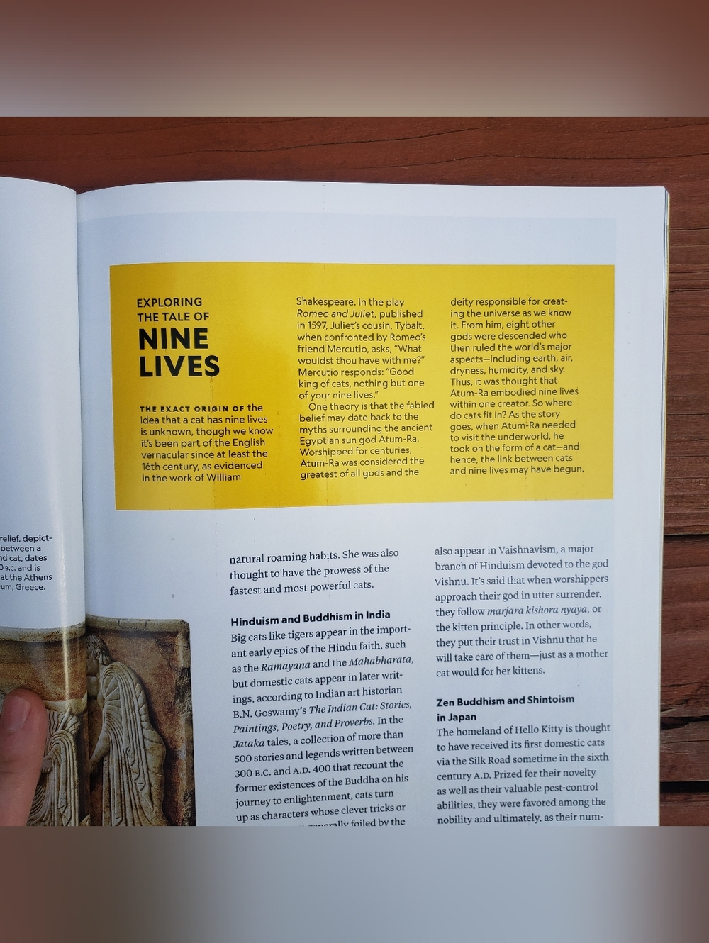 National Geographic The Genius Of Cats Special Publication - 12/2025 - Picture 7 of 10